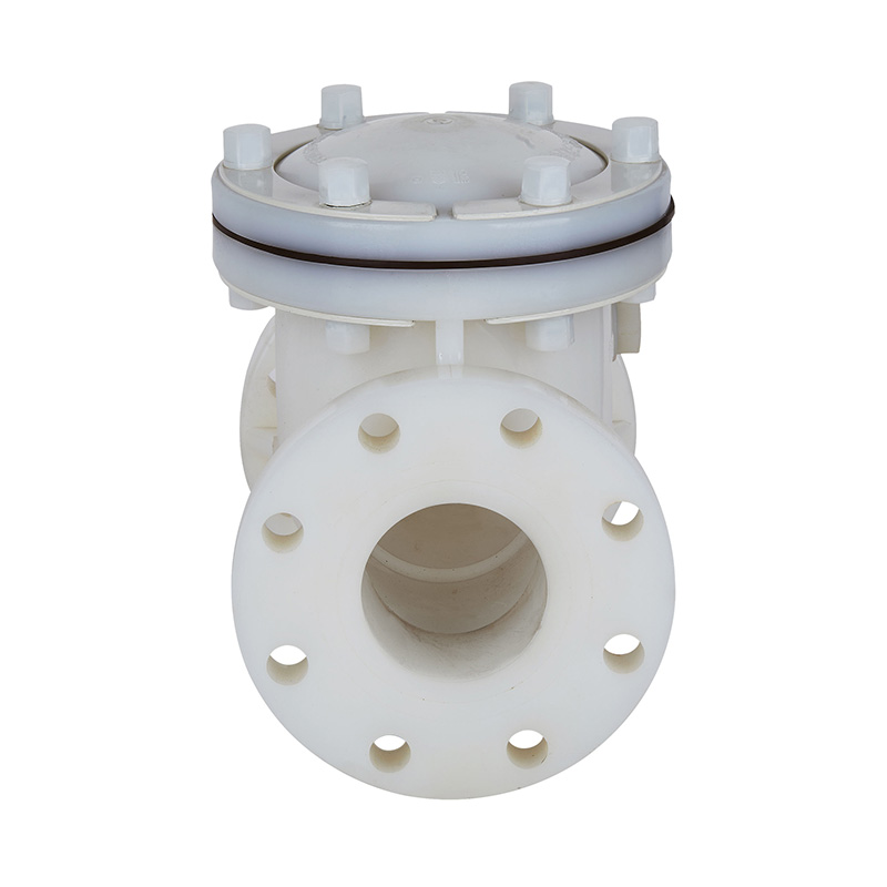 PVDF H44F-10F Rückschlagventil DN15-300 GB Standard
