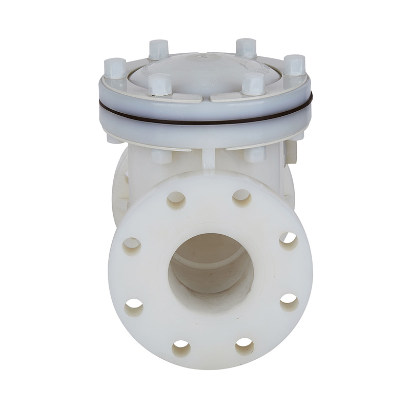 PVDF H44F-10F Rückschlagventil DN15-300 1/2'-12' ANSI-Standard