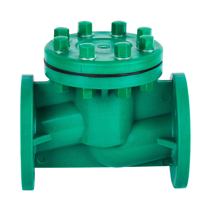 FRPP H41F-10S Life Type Rückschlagventil DN40-80 GB Standard