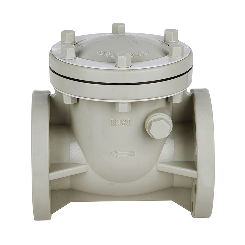 PPH H44F-10S Rückschlagventil DN15-300 GB Standard