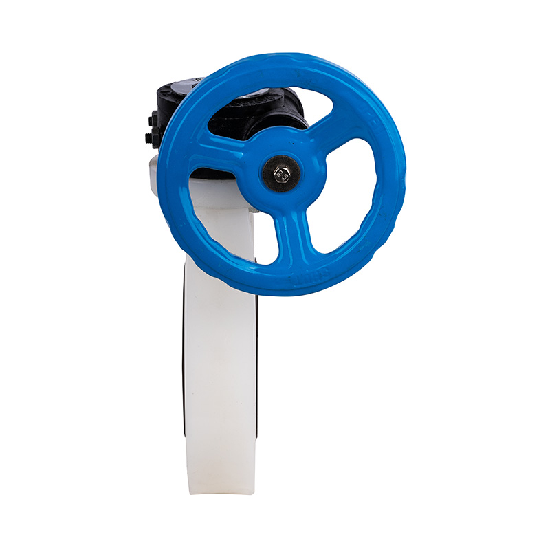 PVDF D371X-10F Schneckengetriebe-Absperrklappe DN40-1000 40A-1000A JIS-Standard