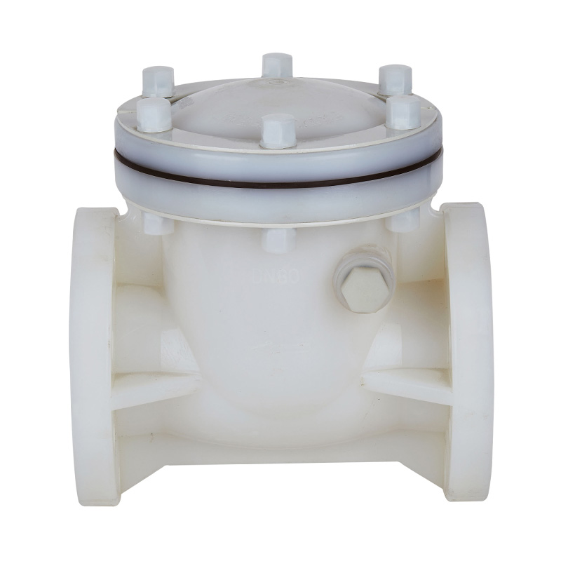 PVDF H44F-10F Rückschlagventil DN15-300 GB Standard