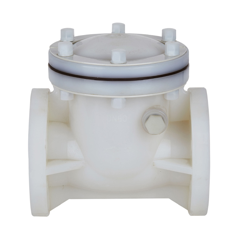PVDF H44F-10F Rückschlagventil DN15-300 1/2'-12' ANSI-Standard