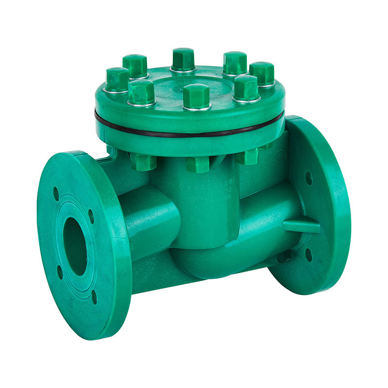 FRPP H41F-10S Life Type Rückschlagventil DN40-80 GB Standard